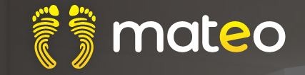 mateo smart bath mat